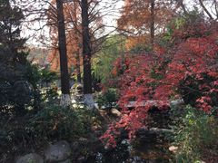 -白马涧龙池景区