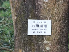 -大埔公路-马料水段香港中文大学(公交站)