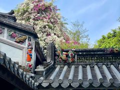 -深圳国际园林花卉博览园