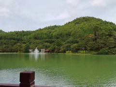 -广州白江湖森林公园