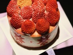 -聚福SHANGHAILANDER(乌鲁木齐南路店)