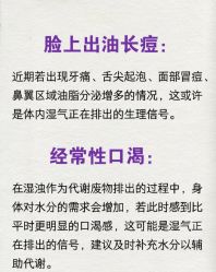 -Fundi张玉珊修身堂·indiba·BTL科技瘦身