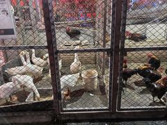 -鱼窝棚柴火铁锅炖(富山屯店)