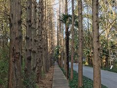 -同里国家湿地公园