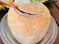 -榴莲BB 四季果园