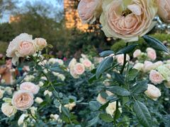 -人民公园(罗湖区)