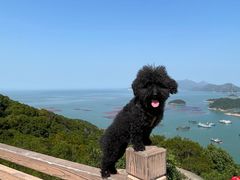 -花竹村