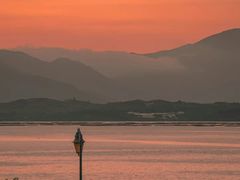 -深圳湾公园(南山区)