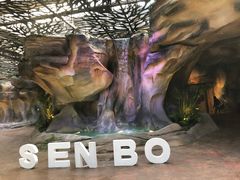 -杭州开元森泊度假乐园