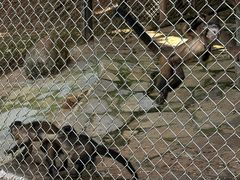 -乐和乐都主题乐园