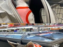 -ALDI奥乐齐超市(凯德虹口店)