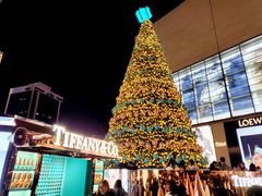 -Tiffany & Co.蒂芙尼
(南京德基广场店)