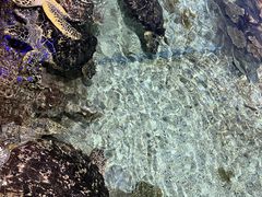 -福州罗源湾海洋世界旅游区