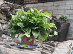 -百花人家(清水镇店)