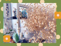 -蘑菇圈·云南野生菌菇炒饭·巷口食堂(悦荟店)