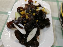 凉拌木耳-中央财经大学-食堂
