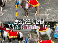 -深圳野生动物园