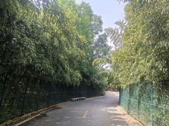 -石家庄市动物园