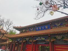 -渭滨公园