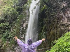 -莫里热带雨林景区