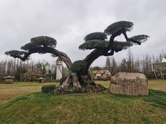 -东平国家森林公园