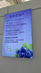 -蓝呗呗蓝莓草莓采摘园(通州区马驹桥店)