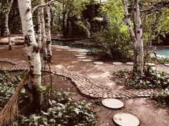 -大鹅岛绿色生态美食园