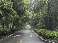 -南京东郊国宾馆