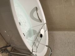 iphone_upload_pic-上海中星雅高铂尔曼大酒店