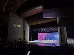 -中央芭蕾舞团·中芭艺蕾(酒仙桥明星校区)