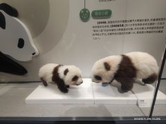 -四川大学博物馆