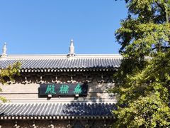 -灵谷景区