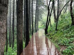 -驼梁风景区