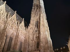 -斯蒂芬主教座堂(Stephansdom)