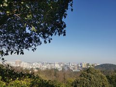 -潜山国家森林公园
