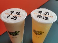 波霸元气乌龙奶-放牛斑(中华城店)