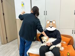 -申普宠物医院·眼科·心内科·影像科(普陀分院)