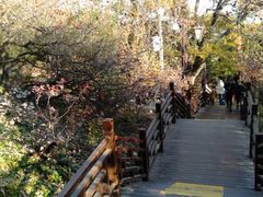 -北京西山国家森林公园