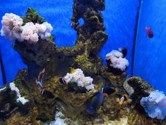 -多彩贵州城极地海洋世界