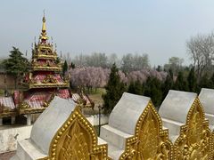 -洛阳白马寺