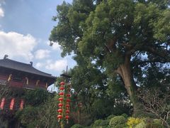 -杭州宋城
