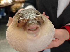 -永安鱼庄·镇江菜(东吴路店)