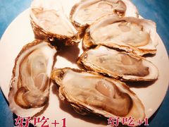 -千岛蚝高压锅生蚝·人参火锅(白云万达店)