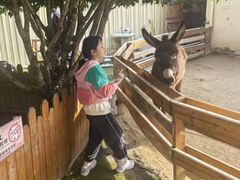 -HERRE·FARM 赫尔露营农场·团建聚会包场