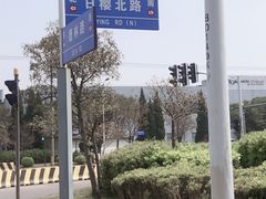-高东镇樱花园