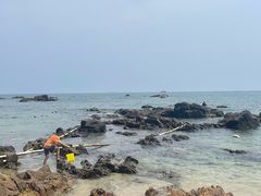 -西涌国际滨海旅游区