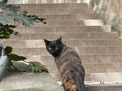 -狼山风景名胜区