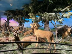 -国家自然博物馆