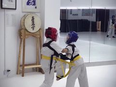 -极真空手道修远道场