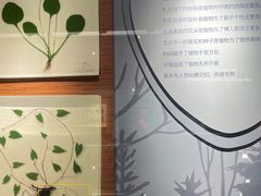 -大连自然博物馆